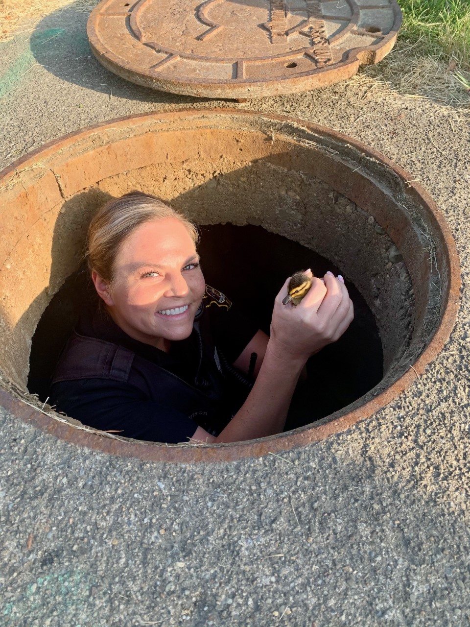 Lucky Ducks: Officers Rescue Ducklings Out Of Storm Drain | News ...